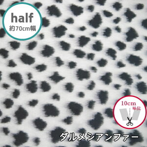 n[tTCY@70cm@yt@[@9188-2012z_VAt@[@@(×10cm)yC2-6zU50