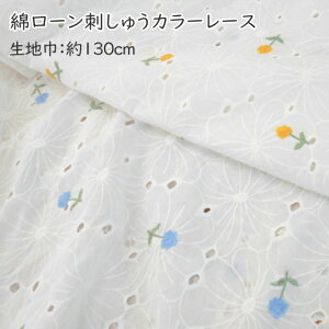 E214@yȃ[hイJ[[Xz@t[@ԕ@hイ@i×50cmj@130cmyC2-6zU1.5@160-10