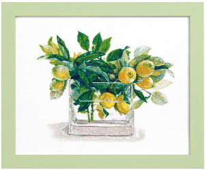 yVALECIENzhイLbg@No.552104utWRERNVvy񂹕izyC3-7-123-1zU-OK