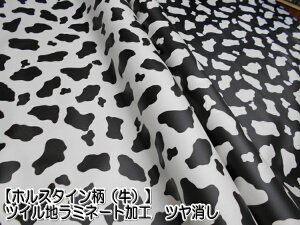 112544780-11@y~l[g@zzX^CijvgcC@c~l[gH@i×50cmjyC2-6zU1.5