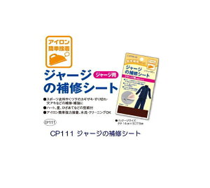 yLvezCP111 W[W̕CV[gyC1-4-110-3z