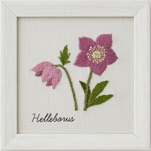 yVALECIENzhイLbg@ؘaq@12̐A蒟@No.542001@NX}X[Y@@yC3-7-123-1zU-2