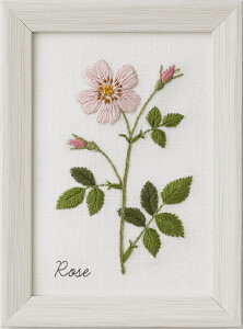 yVALECIENzhイLbg@ؘaq@12̐A蒟@No.542006@[Y@@yC3-7-123-1zU-2