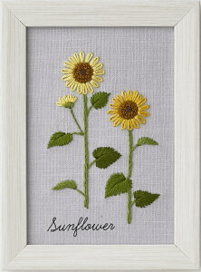 yVALECIENzhイLbg@ؘaq@12̐A蒟@No.542008@q}@@yC3-7-123-1zU-2