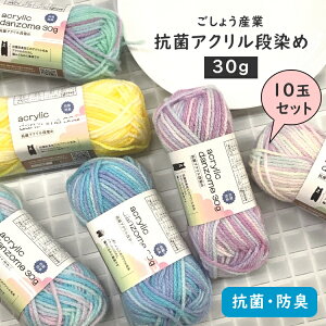 10玉セット『ごしょう産業』 抗菌アクリル段染め 30g おまとめ買い 中国製 編み物  手編み 手芸■【C4-11-120-5】