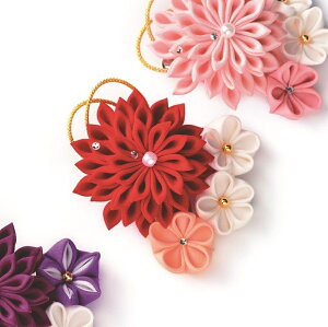 ypi~Panamiz@܂ݍ׍H@߂̃u[`iԁjLbg@LH-450@y񂹕izyC3-7-120-1zU-NG