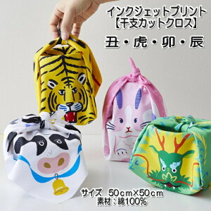 LGC-41110-1yxJbgNX@NEՁEKECzCNWFbgvg@100@JbgNX@TCY50cm×50cm@yC2-6zU-6