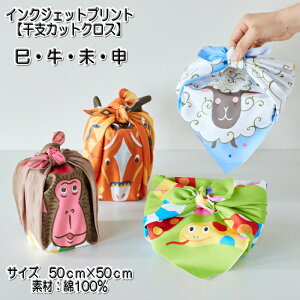 LGC-46090-1yxJbgNX@EEE\zCNWFbgvg@100@JbgNX@TCY50cm×50cm@yC2-6zU-6