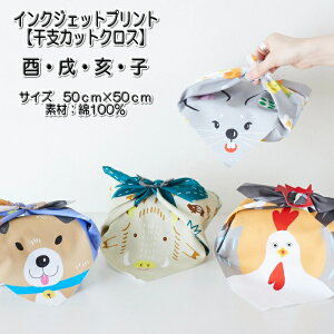 LGC-49100-1yxJbgNX@сEEEqzCNWFbgvg@100@JbgNX@TCY50cm×50cm@yC2-6zU-6