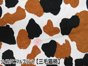 7070-12A@ycCAj}vg@OєLzCeAɂ߁I@@n112cm@i×50cmjyC2-6zU2