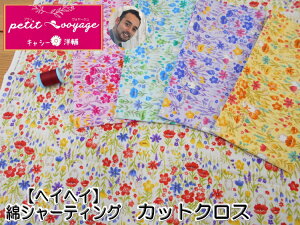 02342-CUTLV[mコvf[X@2eypetit voyageveBH[WzwCwC@ȃV[`O100@JbgNX@50cm×55cmyC2-6zU-16