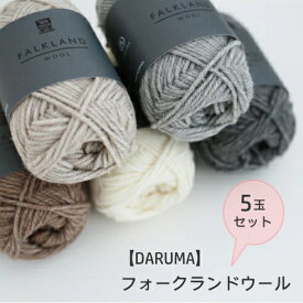 ★5玉セット★【DARUMA】Falkland Wool　フォークランドウール　【取寄せ品】【C4-12-140-5】