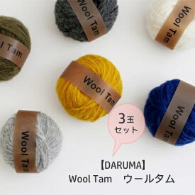 ★3玉セット★【DARUMA　ダルマ】　Wool Tam　ウールタム　【取寄せ品】【C4-12-140-3】U-NG