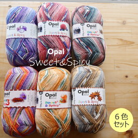 ★ソックヤーン福袋★　【Opal】 Sweet&Spicy　 スイート&スパイシー　6色セット【C4-12】