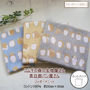 gRRM@RM̐X̐n@pyWK[hjbgzJbgNX@50cm×80cm@124037600-1@yC2-6-157-30zU3