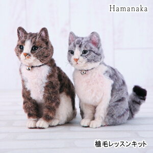 ALɃ`WȂB@yn}iJz@AуbXLbg@LWg@/@Tog@y񂹕izyC3-8-141-1zU-NG