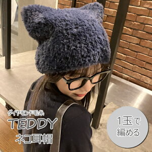 y_Chюz@efBTEDDYŕ҂ށ@lRX̃Lbg@(efB1)yC4-11-143-5z