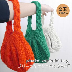 【Pappy】 ミニスポーツで編むプリーツミニミニバッグのキット【ミニスポーツ2玉】◆◆【C4-12-144-10】