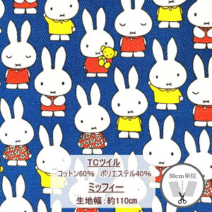 G2027-1AyKOKKAzmiffy@~btB[@lCr[p^[@CTcC@Rbg60@|GXe40ynz110i×50cmjyC2-6-155-10zU-2