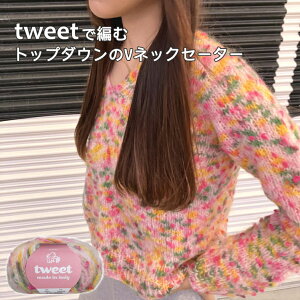 wps[xtweetcC[g6ʂŕ҂ gbv_EVlbNZ[^[̃Lbg@҂ݕ@ю@҂݁y񂹕izyC4-12-144-5z