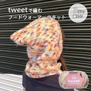 wps[xtweetcC[g3ʂŕ҂ t[hEH[}[̃Lbg@҂ݕ@ю@҂݁y񂹕izyC4-12-144-5z