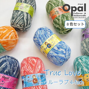 wOpal x ю True Love@gD[u 4-fach@S8ʃZbg܁@҂ݕ@\bNX@҂݁@H~yC4-12-125-5z