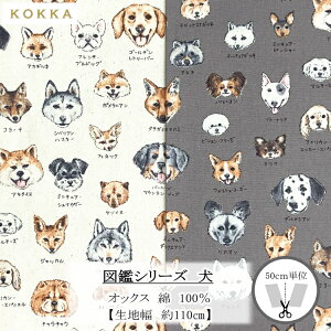 RbJ@}ӃV[Y@hbO@@IbNXvgiȃJXj@100@110cmi×50cmjYPA-61000yC2-6-155-12zU2