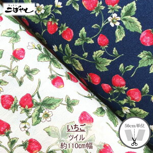 @cC@100@110cmi×50cmjKTS7131yC2-6-154-13zU2