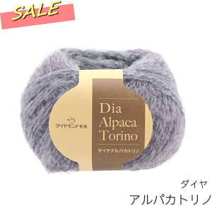 _2025NpԐF@30OFF^y_CzApJgm@J[2609@҂ݕ@H~@ю@@݌Ɍ聡yC4-12z