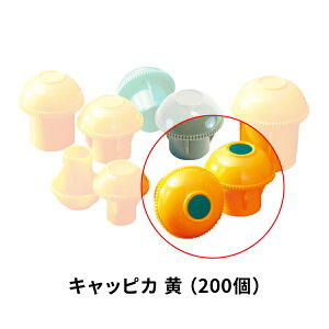 AI LbsJ  200 AR-0091 S؁APǗpLbv