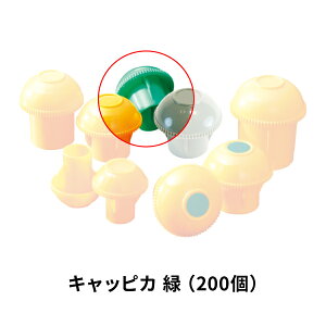 AI LbsJ  200 AR-0121 S؁APǗpLbv