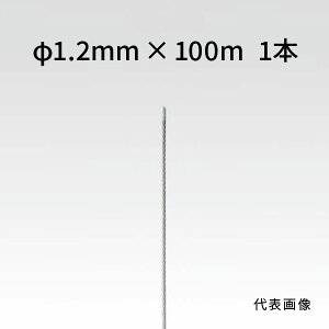 rZ Xg[gC[ XeX 1.2mm×100m 90011290