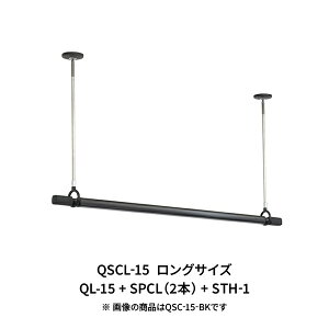 zXN[ SPC^E ƃZbg ubN QSCL-15-BK Z