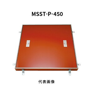 Jl\E tA[nb` 450 P^C p ʌ`X`[XeXڒn ݔc p MSST-P-450