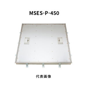 Jl\E tA[nb` 450 P^C p ʌ`XeX c胍bN Op MSES-P-450