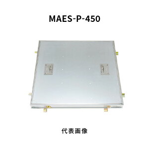 Jl\E tA[nb` 450 P^C p ʌ` A~jE{X`[ XeXڒn c胍bN p MAES-P-450