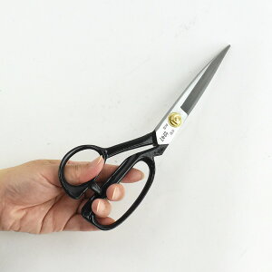 M m ͂ 240mm ق΂