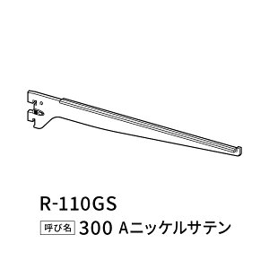 �����K���X�I�u���P�b�g A�j�b�P���T�e�� R-110GS�@300 ���C����
