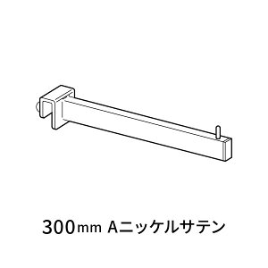 C VtFCXAEgnK[ VO 10/22p 300 AjbPTe