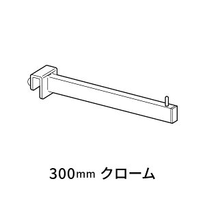 C VtFCXAEgnK[ VO 10/22p 300 N[