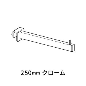 C VtFCXAEgnK[ VO 10/22p 250 N[