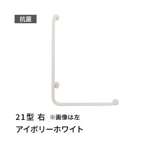 �肷�� L�^ �E ���ڂ����� 21�^ �A�C�{���[�z���C�g ���c�G�[�X 453620