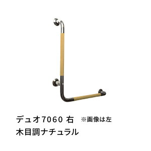 肷 L^ E 700×600mm ڂ fI ؖڒ×SUS Rr cG[X 456068