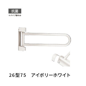 gC 肷  Ep 750mm ڂ 26^ AC{[zCg cG[X 453007