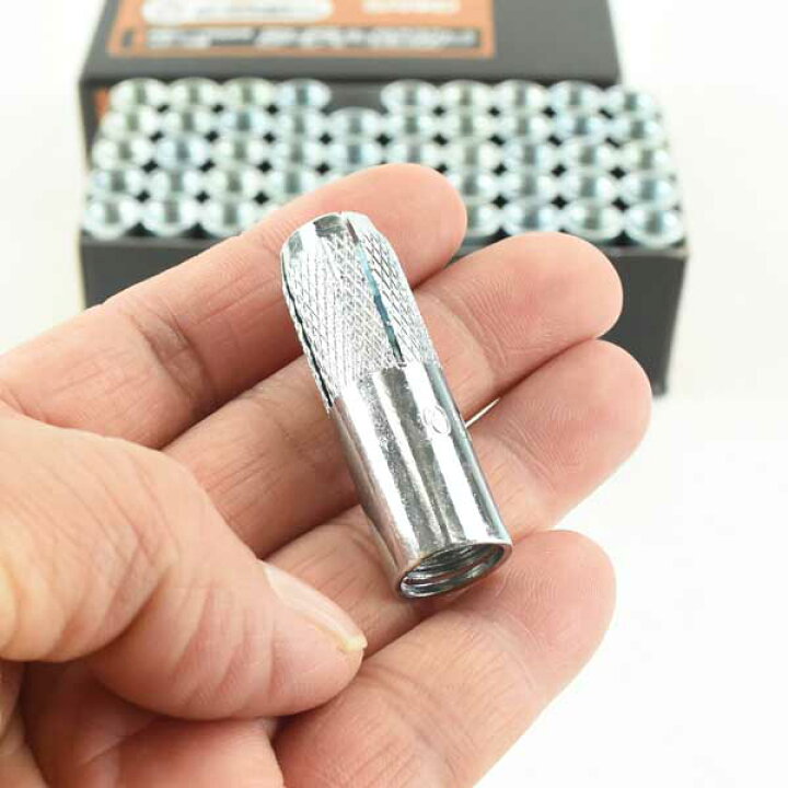 サンコー シーティーアンカー ステンレス製 (100本) 品番 DIY・工具 | zplasticsurgeon.com