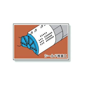 jbg Ɨ\}Olbg V[hiH Ɨ\Ŕp 301-70