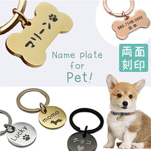 qD  L XeX IׂVF[vETCY RC` ^ Ot ʍ y[֔zhbO^O ybg^O l[^O 4F