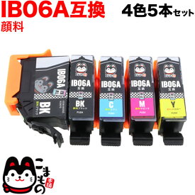 IB06CL5A エプソン用 IB06 メガネ 互換インクカートリッジ 顔料 4色5本セット PX-S5010