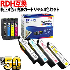RDH リコーダー エプソン用 純正インク 4色セット+洗浄カートリッジ4色用セット 純正インク＆洗浄セット PX-048A PX-049A