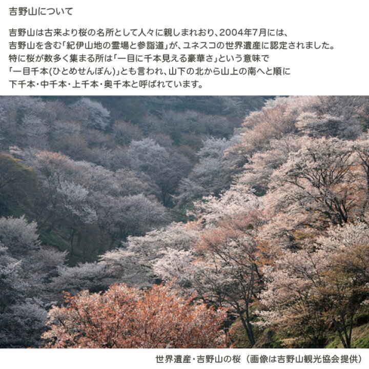 楽天市場】【取り寄せ品】呉竹 Kuretake くれ竹万年毛筆 夢銀河 天然木 